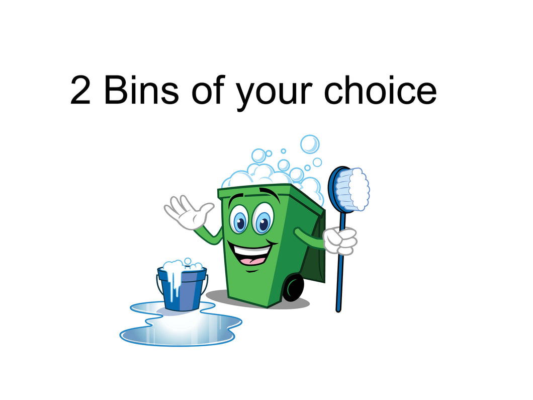 2 Bin cleaning service, As low as $17.30 a visit!